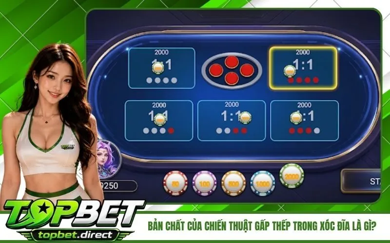 Bản Chất Của Chiến Thuật Gấp Thếp Trong Xóc Đĩa Là Gì
