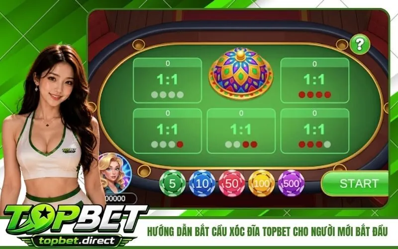 Hướng Dẫn Bắt Cầu Xóc Đĩa