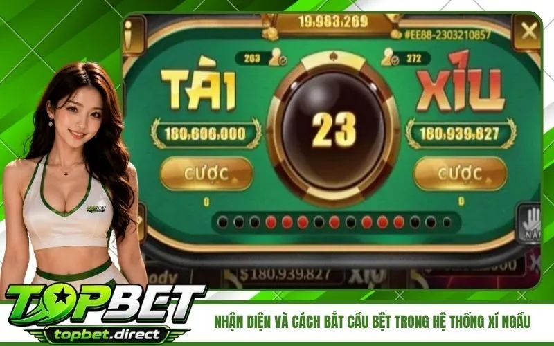 Nhận Diện Và Cách Bắt Cầu Bệt Trong Hệ Thống Xí Ngầu